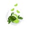 Fresh lime with realistic splash   illustration. Falling slices in juice, milk, chocolate