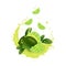 Fresh lime with realistic splash   illustration. Falling slices in juice, milk, chocolate