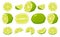 Fresh limes with leaves. Collection of different lime views.
