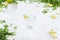 Fresh limes in the water on a white background. Greens and slices of lime in the background. A glass of water with lime.