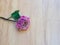 Fresh Lisianthus or Eustoma flower on wood background, Pink flower, Copy space