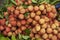 Fresh litchi chinensis sell at vietnam market