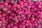 Fresh of litchi fruit. Organic lychee pile from local agriculture farm. The pile of Lychee, Fresh lychee and peeled showing the re