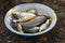 Fresh live caught fish on a fishing trip in a bowl on the ground. Cooking fish soup in nature. Selective focus