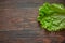 Fresh live lettuce leaf on a textured wooden background