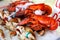 Fresh Lobsters and Crab for Sale in Fishmongers