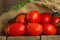 Fresh long plum tomatoes in burlap bag. Tomatoes on wooden table