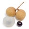 Fresh longan fruit on white background