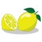 fresh-looking lemons are yellow with green leaves, a simple flat vector design