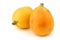 Fresh loquat fruit (Eriobotrya japonica)