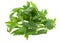 Fresh lovage herb