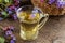 Fresh lungwort or pulmonaria flowers in a cup of herbal tea