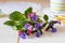 Fresh lungwort, or pulmonaria flowers on a table