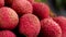 Fresh lychee rotating. Red lychee exotic fruits. 4K Resolution