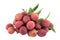 Fresh lychees isolated