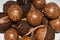 Fresh Macadamia Tree Nuts In Shell And Husk