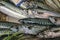 Fresh mackerels on the fish market