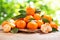 Fresh mandarin oranges fruit or tangerines with leaves over green blurred background