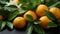 Fresh mandarin oranges or tangerines with leaves on a table. AI Generated