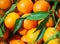 Fresh mandarin or tangerine at market. Spain. Valencia.