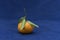 A fresh mandarine fruit with leaves on blue background