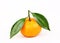 Fresh mandarine with slice and leaf isolated white background
