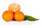 Fresh mandarine tangerine with leaves and segments on w