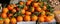 Fresh Mandarins and Clementines Orange Stack, with Leaves, on sale, in the sunlight. Vitamin and healthy Food.