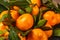 Fresh mandarins fruit with leaves background.