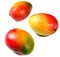 Fresh mango fruits