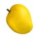 Fresh mango isolated on white background indian mango alphonso mango