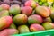 Fresh mangoes on the market. Lots of mangoes on the supermarket counter.