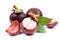 Fresh mangosteen fruit