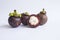 fresh, mangosteen Garcinia mangostana isolated on white background.