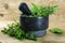 fresh mediterranean herbs, oregano, rosemary and sage in a mortar made of black granite on a rustic wooden board, copy space