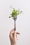 Fresh microgreen on fork in female hand over white background