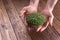 Fresh microgreen sprouts in male hands on wooden background. Ecology, biology, microgreens concept.