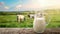 Fresh Milk in a Pitcher on Rustic Wooden Table with Cows Grazing in the Background - Agriculture and Dairy Industry. Generative Ai