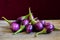 Fresh mini purple eggplant on wooden background