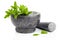 Fresh mint leaf in granite mortar