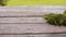 Fresh mint leaves on wooden table