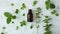 fresh mint and peppermint oil arranged artfully on a light background, showcasing the simplicity and purity of these