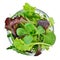 Fresh mixed greens leaf vegetables in bowl isolated, top view