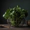 Fresh and Modern Display of Baby Spinach in a Wire Basket