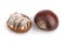 Fresh and moldy chestnuts isolated on a white background