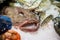 Fresh monkfish on the counter on the fish market