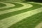 Fresh mown grass pattern