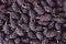 Fresh mulberries background. Texture mulberries close up. Background of black berries.