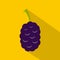 Fresh mulberry icon, flat style