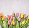 Fresh multicolored tulips, spring, flowers border ,place for text wooden rustic background top view close up